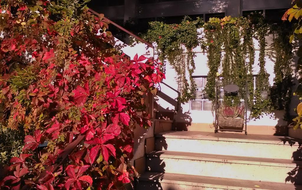 Hotel Ristorante Sole Múggia Exterior foto